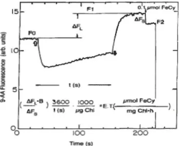 Figure 1.9  Cinétique  de  la  fluorescence  du  9-aminoacridine  (9-AA)  permettant  d'estimer  simultanément le  gradient de  protons  (ApH)  et le  taux  de  transport photosynthétique d'électrons selon la méthode de Evron et  McCarty (2000)
