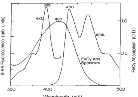 Figure 1.10  Spectres  d'excitation  (ext)  et  d' émission  (ems)  du  9-aminoacridine  et  spectre  d' absorbance  du  ferricyanure  de  potassium  (FeCN  ou  ici  dénoté  FeCy) (Evron et McCarty, 2000)