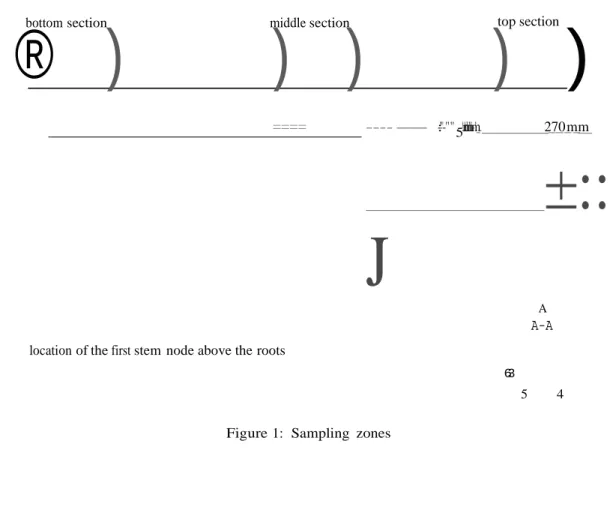 Figure 1:  Sampling  zones 