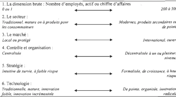 Figure 7 - Typologie sur continuum des PME  Source: Julien (2005). 