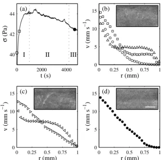 FIG. 1: Flow behavior in a rough Couette cell after a constant shear rate ˙ γ = 25 s − 1 is imposed at t = 0 s
