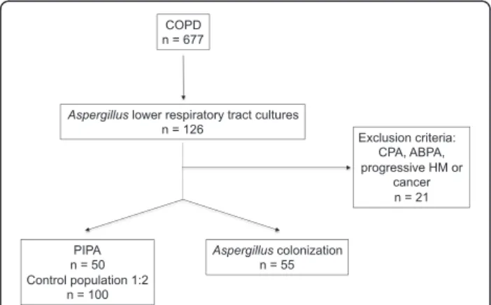 Fig. 1 Flowchart of selected cases. ABPA allergic bronchopulmonary aspergillosis, COPD chronic obstructive pulmonary disease, CPA chronic pulmonary aspergillosis, HM hematological malignancy, PIPA putative invasive pulmonary aspergillosis