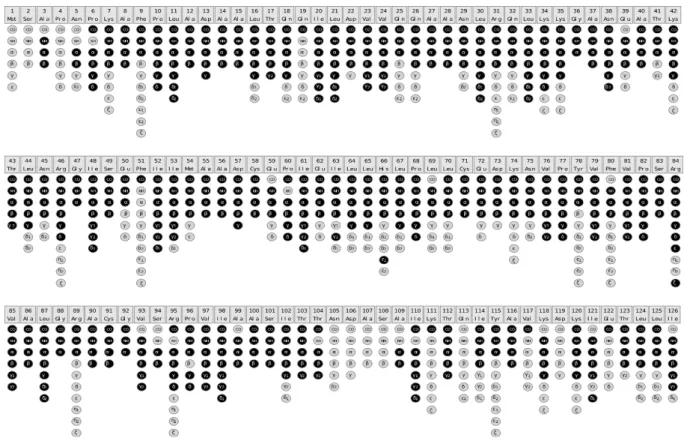 Figure 2: Assignment graph, created with CcpNmr software. Assigned spins are highlighted in black