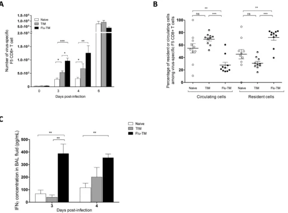 Figure 4.  Expression heatmap of the top 10 HP0RP2, HP0RP3 and HP0RP1 genes with a minimal fold  change of 2 when comparing Flu-TM to naive cells