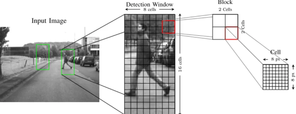 Fig. 3: Illustration of detection window, block and cell