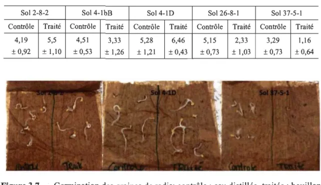 Figure 3.7  Germination des graines de radis; contrôle: eau distillée, traitée: bouillon  bactérien