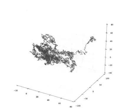FIGURE  4.1  - Exemple  de  résultat  d 'un  calcul  effectué  à  l'aide  d'un  algorithme  de  dynamique  Monte-Carlo