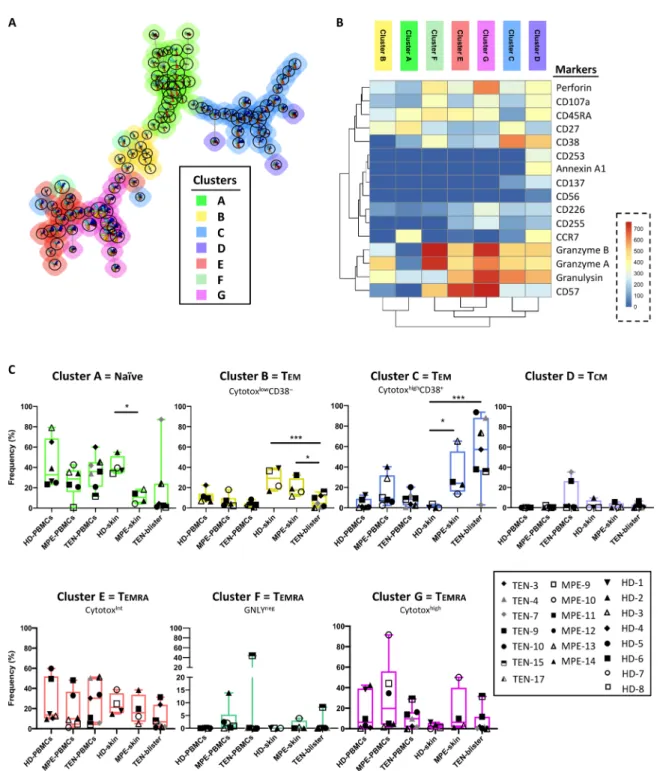 Fig. 2. High-dimensional cell analysis of CD8 +  T cells identifies TEN-enriched immunophenotypes