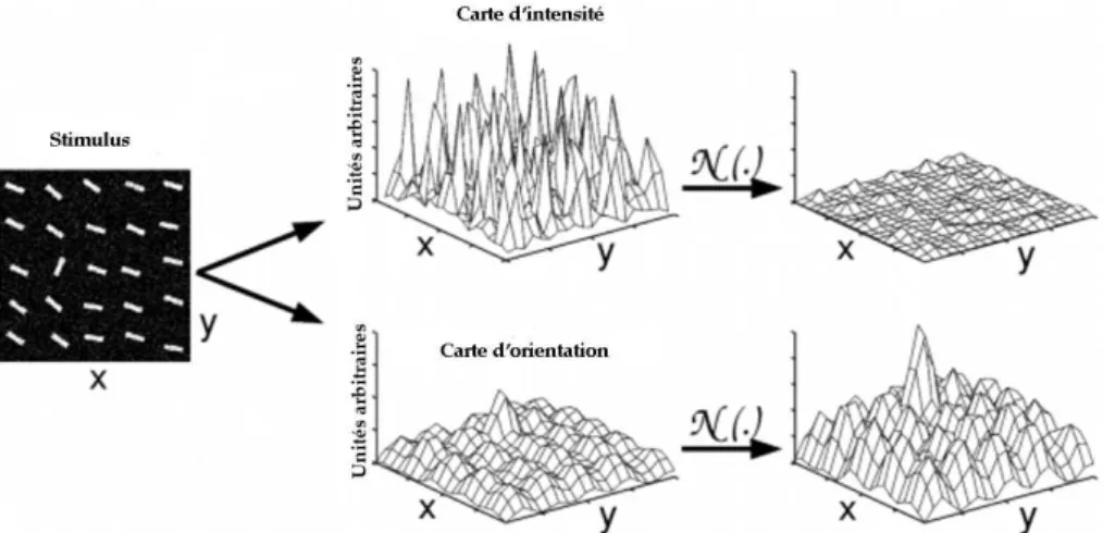 Figure 2.3: Si on considère la primitive intensité seulement, on a un niveau de saillance uni- uni-forme qui ne fait pas apparaître des points visiblement saillants