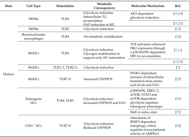 Table 1. In vitro studies describing metabolic consequences of toll-like receptors (TLR) stimulation in myeloid primary macrophages or dendritic cells (DCs)