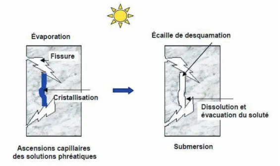 Figure 1-18 Schéma du processus d’écaillage par alternance de cycles dissolution/ 