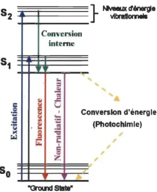 Figure 1.18  Diagramme  de  Jablonski  simplifié  de  l' absorption  d ' énergie  et  des  principales voies de dissipation d' énergie en photosynthèse