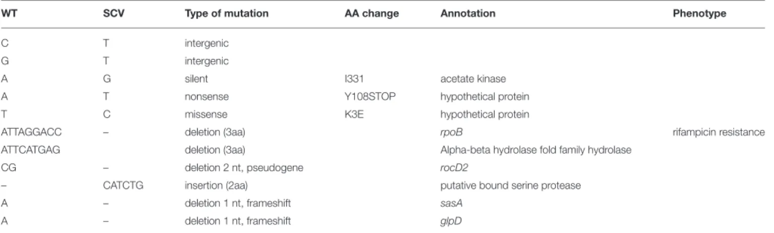 TABLE 2 | Nucleotide variations observed between initial, WT, and recurrent, stable SCV strains.