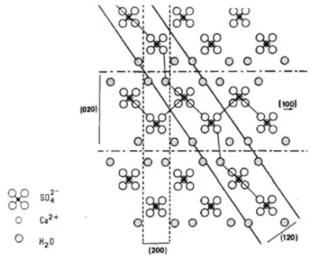 Fig. 1.14 – Projection de la structure cristalline du gypse selon la direc- direc-tion 001