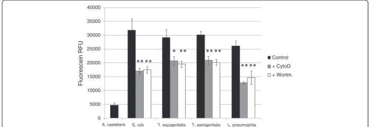 Figure 3 Taylorellae are actively phagocytised by A. castellanii. Bacterial uptake assay by trypan blue quenching