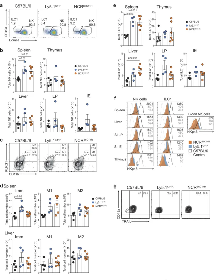 Figure 6. Loss of NKp46 surface expression depends on the C14R mutation in the Ncr1 gene
