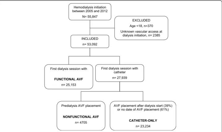 Fig. 1 Cohort selection. Abbreviation : AV arteriovenous