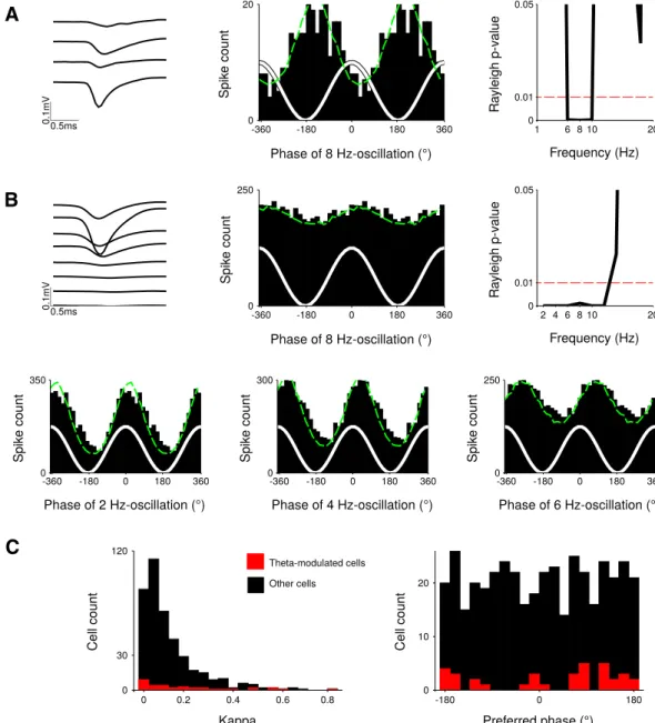 Figure 3. A minority of recorded striatal neurons is specifically entrained to theta oscillations