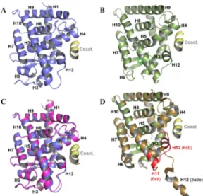 Figure 7. 3D crystal structure of RARβ and RXRα LBDs in complex with LG754 and a coactivator peptides