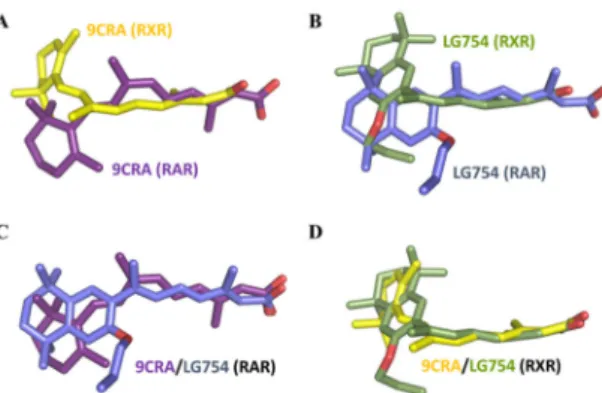 Figure 9. Conformation of the bound LG754 in RARβ and RXRα. (A) superposition of 9CRA as seen in the LBP of RXRα (PDB code 1fby) [70] and RARβ (PDB code 1xdk) [71]; (B) superposition of LG754 as seen in the LBP of RXRα (PDB code 6sti) and RARβ (PDB code 6s