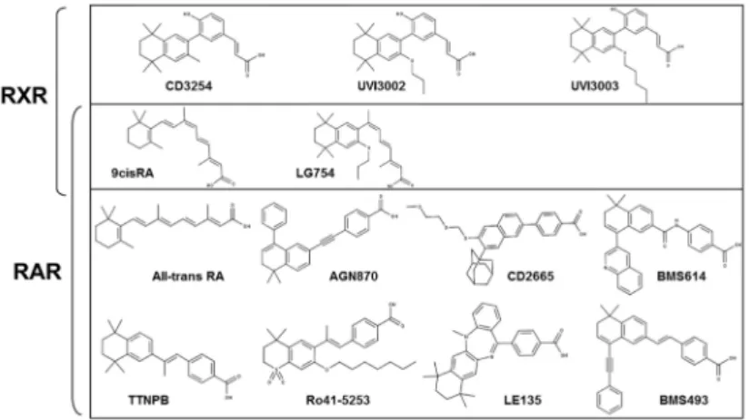 Figure 1. Chemical structures of the retinoids and rexinoids used in this study.