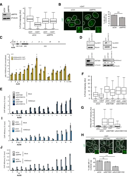 Figure 6. The HUSH complex mediates transcriptional shutdown after DSB via H3K9me3 deposition
