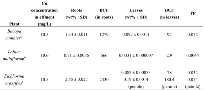 Table  2.  Copper  concentration  in  roots  and  leaves  (wt%  ±  standard  deviation),  and  BCF  and  TF  calculation