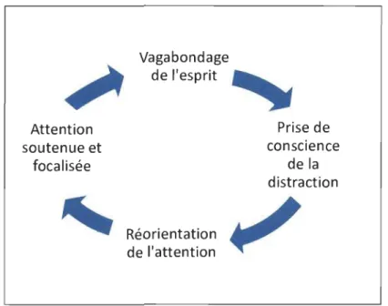 Figure  1.  Cycle des états mentaux en pleine conscience (Lutz, 2012). 