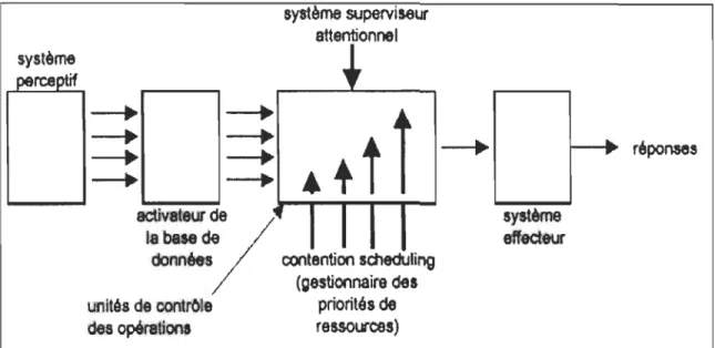 Figure  4.  Schéma  du  traitement  de  l' information  du  Modèle  de  Shallice  (1982)  (Bukiatmé &amp;  Chausson, 2004, p 