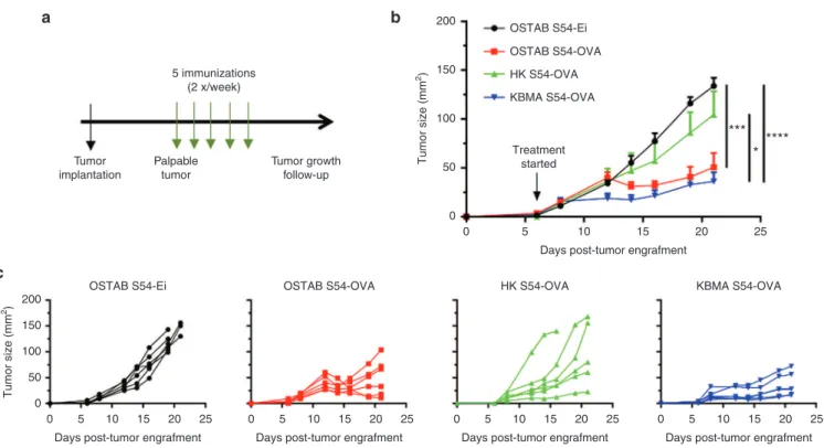 Figure 2  Multiple immunizations with OSTAB S54-OVA or KBMA S54-OVA vaccines slow down tumor growth of aggressive B16-OVA melanoma