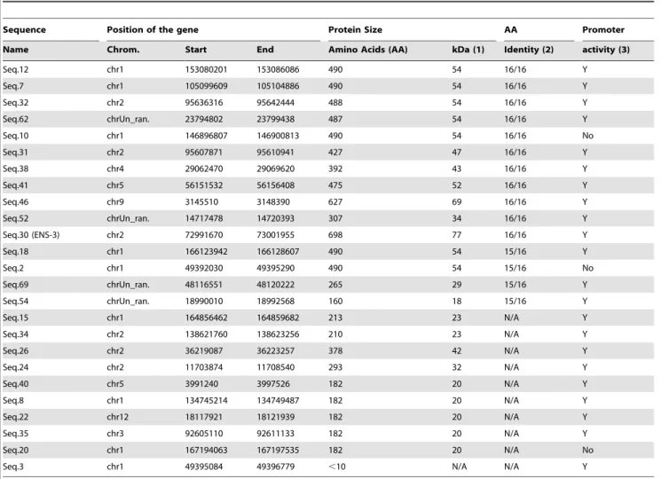 Table 1. List of the ENS-1 like sequences and homology with the 3807 peptide.