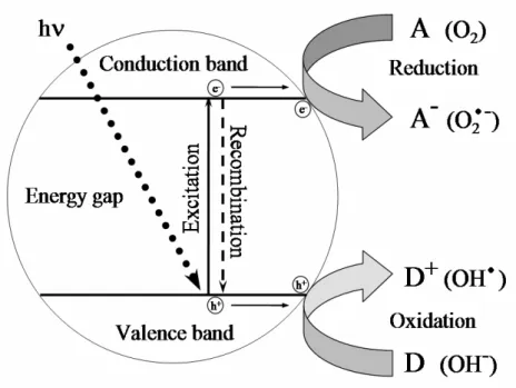 Fig. II.D.1: Elementary processes taking place after irradiation of a semiconductor. 