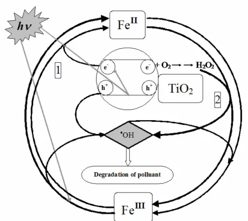 Fig. II.E.1: Scheme of the most important interactions between TiO 2  and iron: [1] Interaction  of  Fe(III)  with  electrons  photogenerated  at  TiO 2   surface,  [2]  Reactions  of  Fe(II)  to  Fe(III)  reoxidation intermediated by the oxidative species