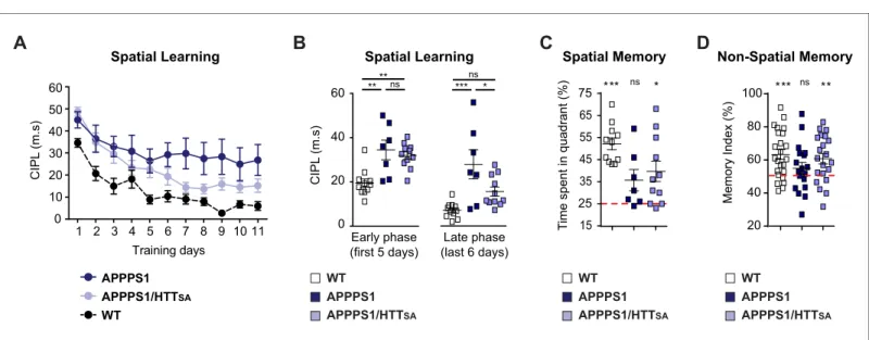 Figure 9. HTT S421 dephosphorylation enhances learning and memory in APPPS1 mice. (A) Spatial learning of 7 APPPS1 mice (dark blue), 11 APPPS1/