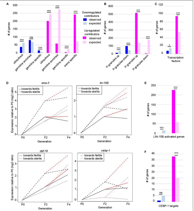 FIGURE 2 | Functional classification of contributors to set-2 dependent loss of germline identity