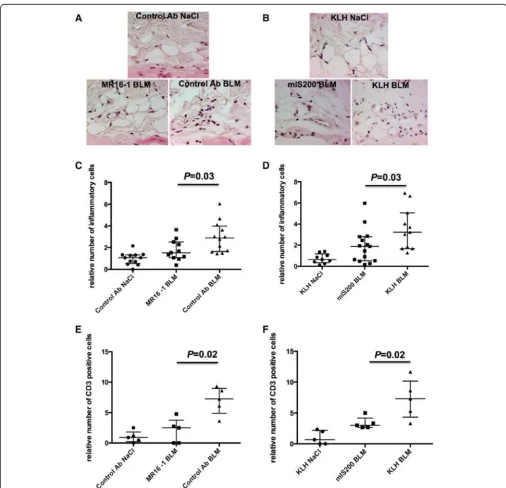 Figure 6 Interleukin-6 (IL-6) regulates leukocyte and T-cell infiltration into lesional skin