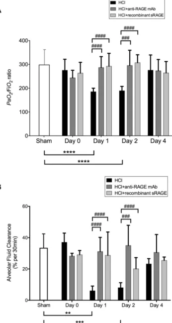 Figure 1.  RAGE inhibition improves arterial oxygenation and alveolar fluid clearance