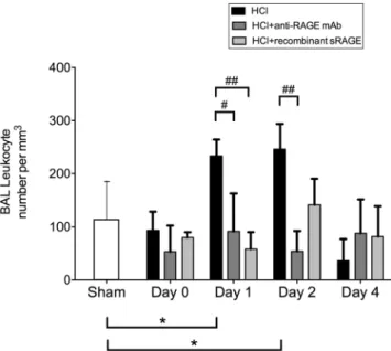 Figure 6.  RAGE inhibition decreases the absolute number of leucocytes in the bronchoalveolar lavage (BAL)