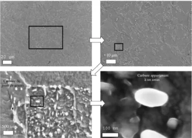 Figure 1.14 – Observation de la répartition de carbures dans l’acier 16MND5 (Mathieu, 2006)