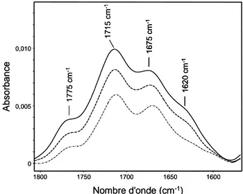 Figure 48. Thermolyse et photolyse d’un échantillon de P3HT photo-oxydé 35 h  Spectres IR dans la zone des dérivés carbonylés 