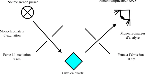 Figure III. 3 : Principe de fonctionnement du spectrofluorimètre Perkin-Elmer LS-55. 