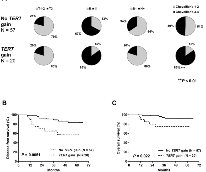Figure 4: Distribution of clinicopathologic characteristics: tumor size, tumor grade, nodal status and pathologic response (A)  disease-free (B) and overall survival (C) in patients from cohort #1 with and without TERT gene copy number gain