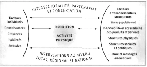 Figure  1 : Modèle structurel des  comportements en  matière de santé adapté de Cohen  et al