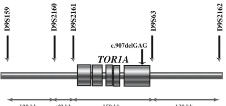 Fig. 1 Physical map of the 9q region surrounding the TOR1A gene.
