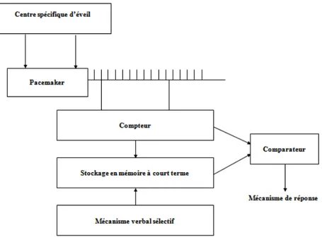 Figure 5. Représentation schématique du modèle de l’horloge interne de Treisman (1963)   Comme on peut voir sur la Figure 5, ce modèle comprend un pacemaker qui émet des  impulsions de façon régulière