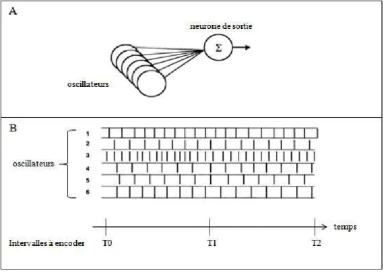 Figure  9 :  Le  modèle  de  détection  de  coïncidences  de  Miall  (1989),  the  Beat  Frequency  model (reproduit de Droit-Volet &amp; Wearden, 2003)