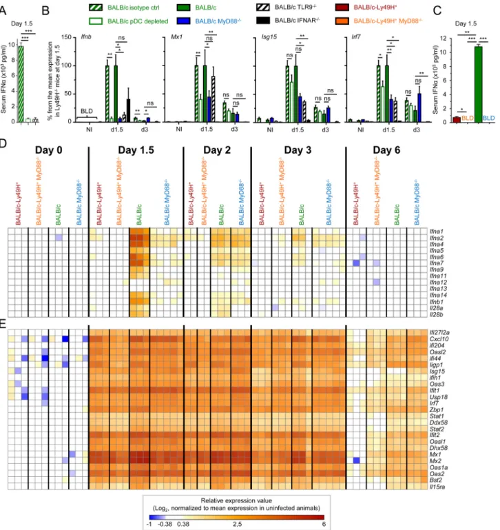 Fig 1. pDC or MyD88 deficiency impairs IFN-I production but not splenic IFN-I responses and virus control