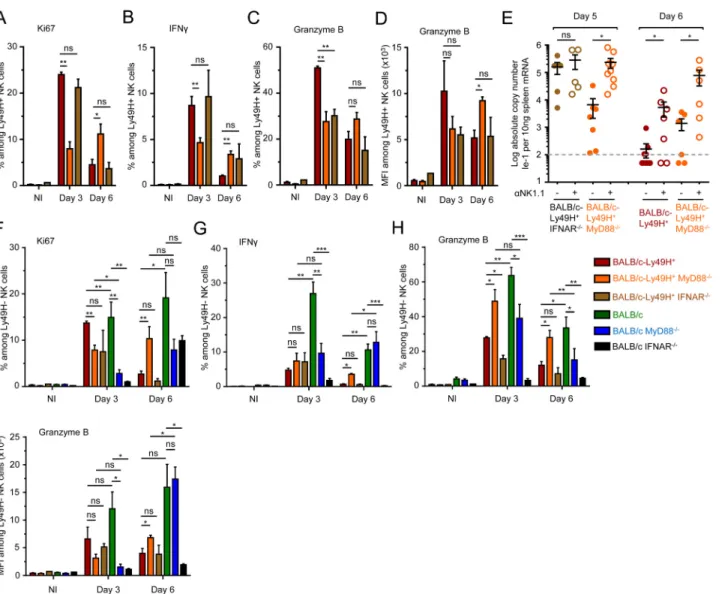 Fig 3. MyD88 deficiency does not completely abrogate NK cell-mediated protection. (A-D) Ly49H + NK cell activation in BALB/c-Ly49H + , BALB/c- BALB/c-Ly49H + MyD88 -/- and BALB/c-Ly49H + IFNAR -/- mice at d0, 3 and 6 post infection