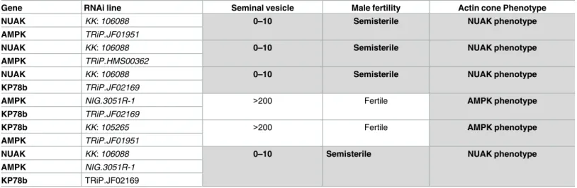 Table 2. RNAi combinations did not reveal any additive effect between AMPK-related kinases.