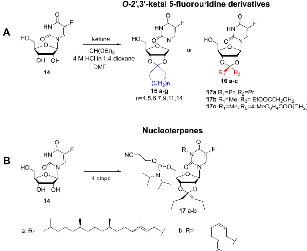 Figure 10.  Molecular structures of 2’-deoxyinosine and thymidine nucleoterpenes. [22]